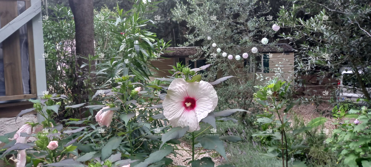 Due lotti arredati con case mobili – a 30 secondi dalla spiaggia – investimento di prima qualità in Istria